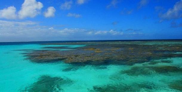 Greens support Garrett on Coral Sea